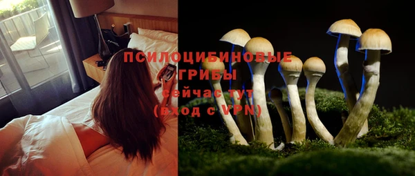 кокаин колумбия Каменногорск