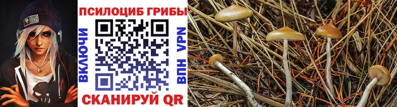 Купить закладки  Сибай  Галлюциногенные грибы GOLDEN TEACHER 